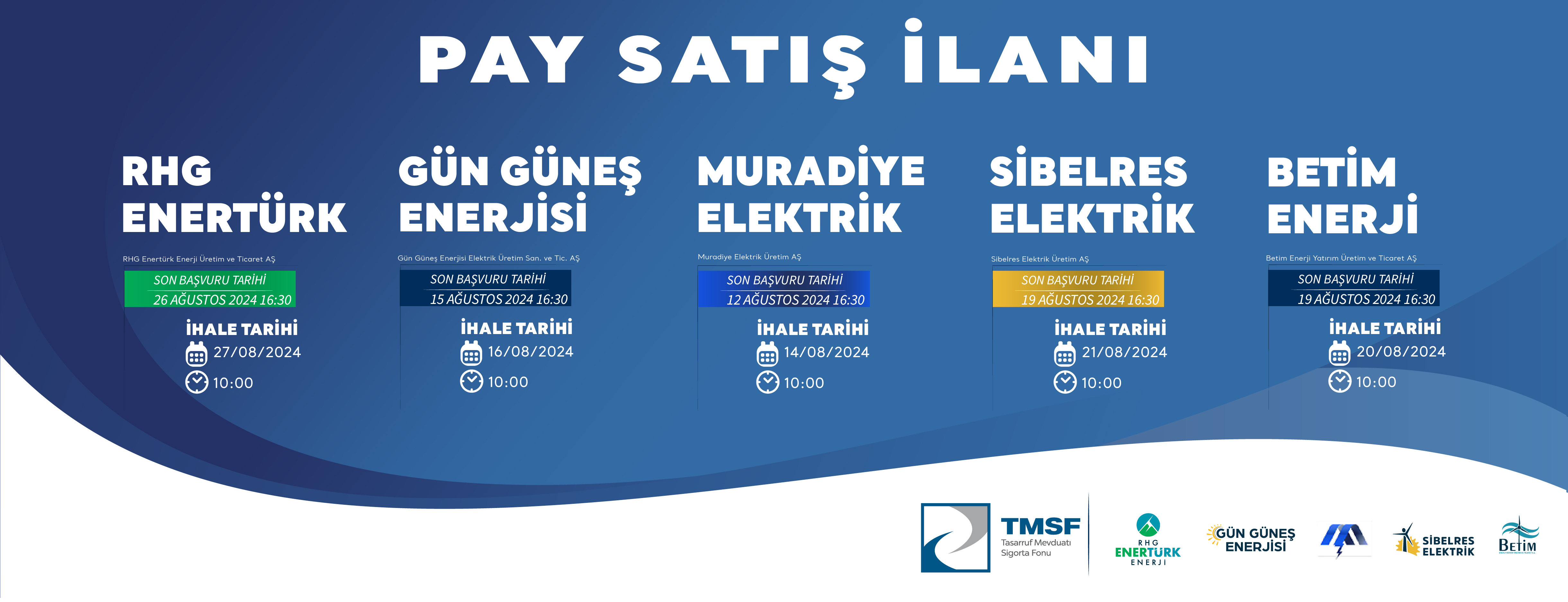 Yenilenebilir Enerjide Dev Satış;  TMSF Enerji Şirketlerini İhaleye Çıkardı