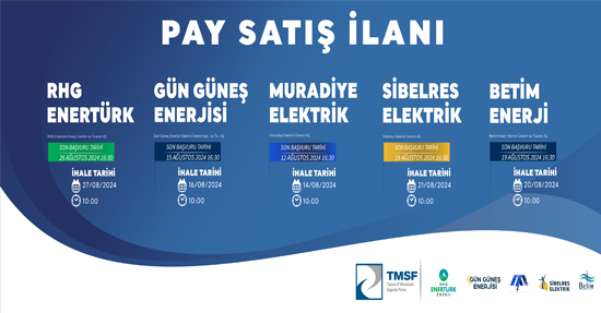 Yenilenebilir Enerjide Dev Satış; TMSF Enerji Şirketlerini İhaleye Çıkardı